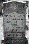 idasbarktb.gif (14623 bytes)